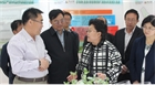 市委副書記、代市長艾麗華來我公司考察、調(diào)研